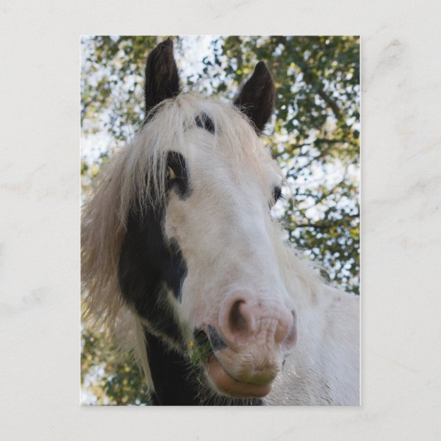 Ich kann dich sehen postkarte (Vorderseite)