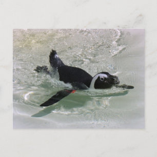 Ich kann es nicht ertragen, einen Pinguin zu sehen Postkarte