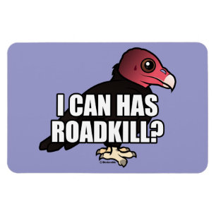 Ich kann habe Roadkill? Magnet