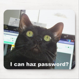 Ich kann Haz Passwort-Katze Mousepad