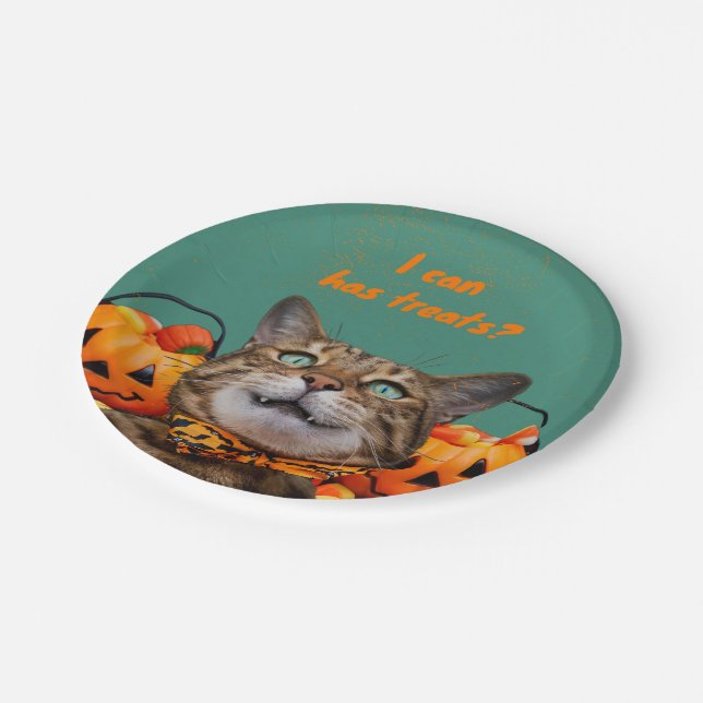 Ich kann Leckereien auf Papier Teller haben (Schrägansicht)