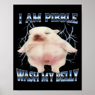 Ich kann meinen Bauch waschen Lustiger Hund Reinig Poster