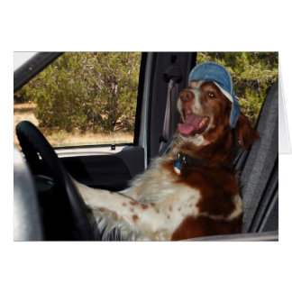 ICH KANN NICHT 55 FAHREN!