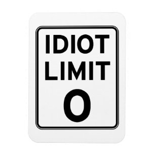 Ich kann nicht mehr Idioten beschäftigen Magnet