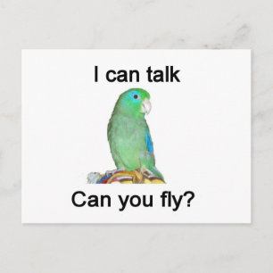 Ich kann reden, kannst du fliegen? postkarte