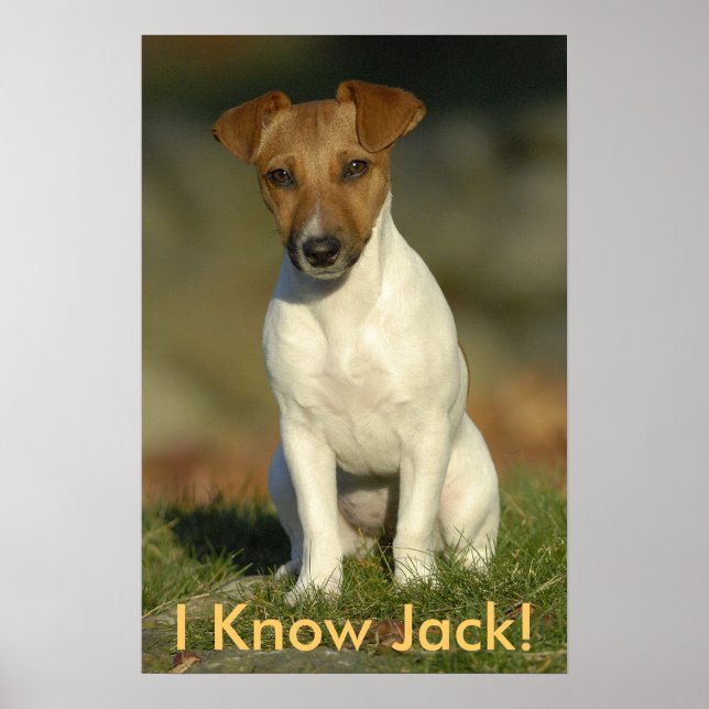 Ich kenne Jack! Poster (Vorne)