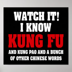 Ich kenne Kung Fu und Kung Pao - Funny Martial Art Poster