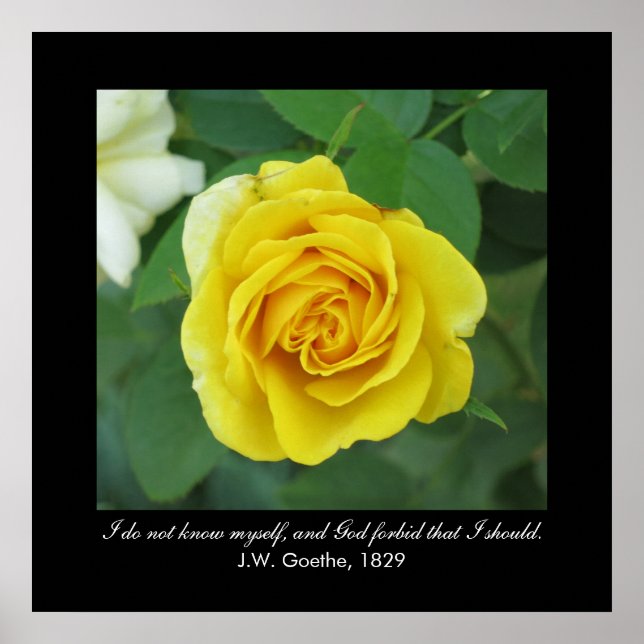 Ich kenne mich nicht. . . (Goethe) Poster (Vorne)