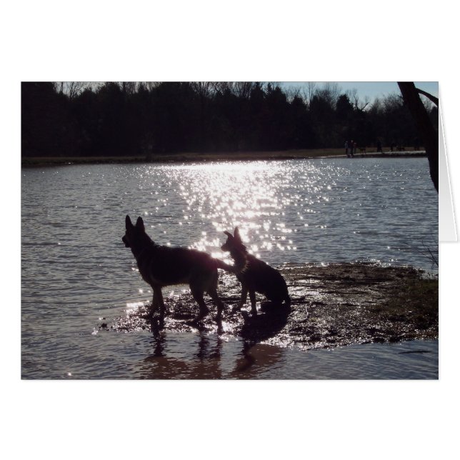 Ich könnte ein Leben lang Sonnenuntergänge mit dir (Vorderseite (Horizontal))