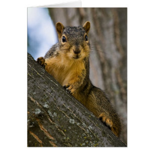 Ich könnte interessiert werden