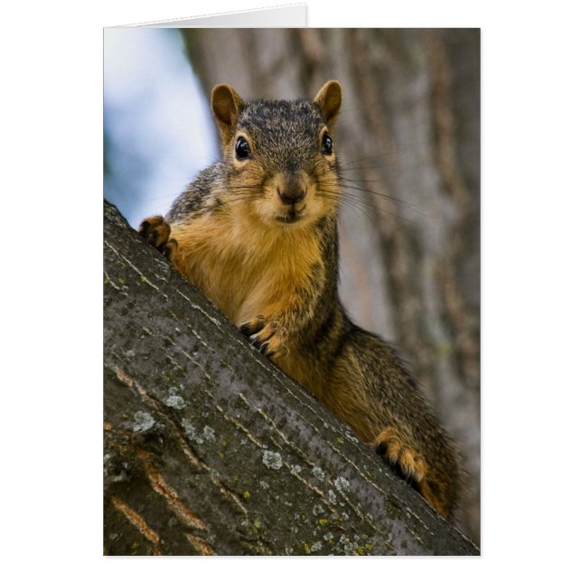 Ich könnte mich interessieren (Vorne)