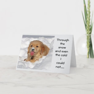 "ICH KÖNNTE SPRICHWORT NICHT NUR WEIHNACHTSMÄSSE A FEIERTAGSKARTE