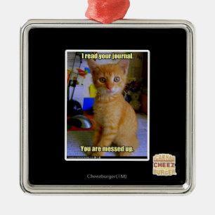 Ich las Ihre Zeitschrift Silbernes Ornament