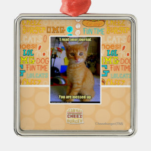 Ich las Ihre Zeitschrift Silbernes Ornament