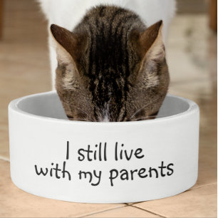 Ich lebe immer noch mit meinen Eltern, die sich lu Napf