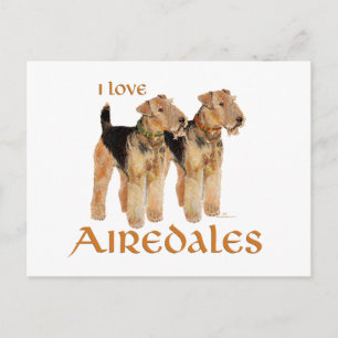 Ich liebe Airedales Postkarte