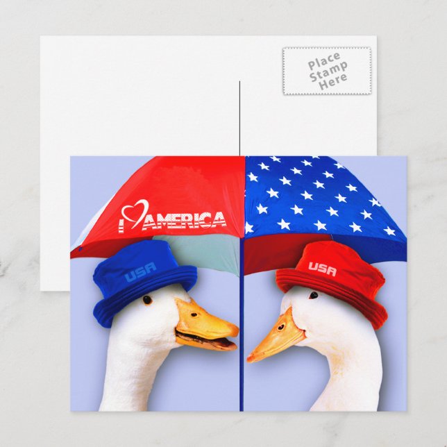 Ich Liebe Amerika. Funny Patriotic Ducks Postkarte (Vorne/Hinten)