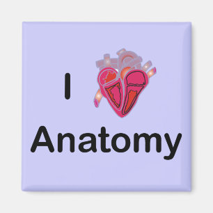 Ich Liebe Anatomie mit menschlichem Herzen! Magnet