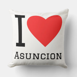 Ich liebe Asunción Kissen