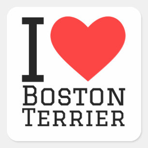 Ich Liebe Boston Terrier Quadratischer Aufkleber