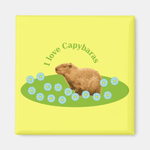 Ich liebe Capybaras Magnet