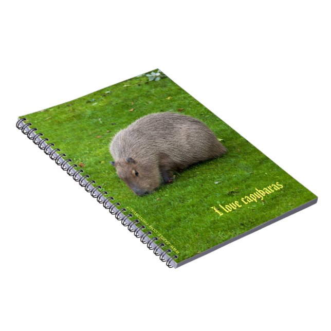 Ich liebe Capybaras Notizbuch Notizblock (Rechte Seite)