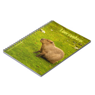 Ich liebe Capybaras Notizbuch Notizblock