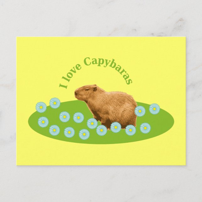 Ich liebe Capybaras Postkarte (Vorderseite)