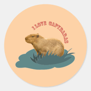 Ich liebe Capybaras Runder Aufkleber