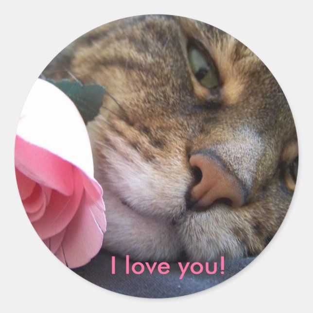 Ich Liebe, dass du Katzenaufkleber hast Runder Aufkleber (Vorderseite)