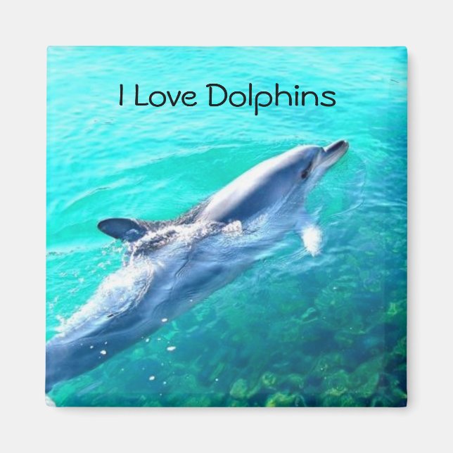Ich liebe Delfine Magnet (Vorne)