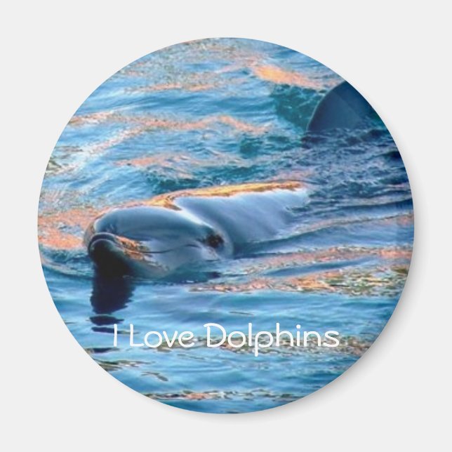 Ich liebe Delfine-Magnet Magnet (Vorne)