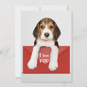 Ich Liebe dich... Beagle Puppy Karte