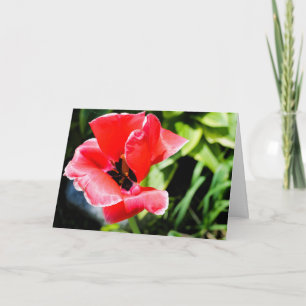 Ich liebe dich Blumen Grußkarte Karte