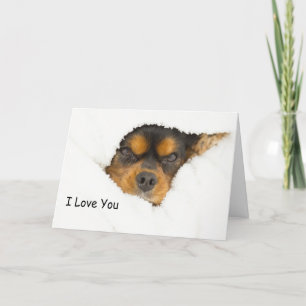 Ich liebe dich King Charles Spaniel schaut heraus Karte