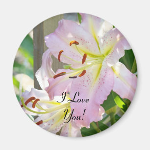Ich liebe Dich! Magnetgeschenke Rosa Lilien Blumen Magnet