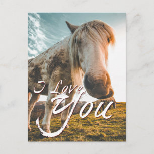 Ich liebe dich mit Blick auf das Pferd Feiertagspostkarte