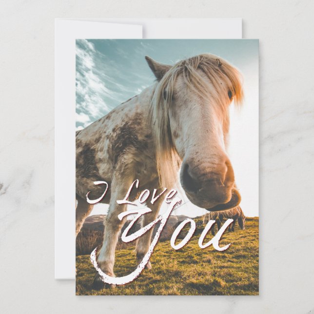 Ich Liebe dich mit dem Aussehen von Pferd (Vorderseite)