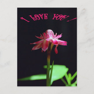 Ich Liebe dich Postkarte