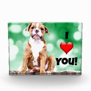 Ich liebe dich, Welpe Foto, Acryl-Fotoblock Fotoblock