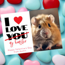 Ich Liebe dir meinen Hamster lustigen Valentinstag