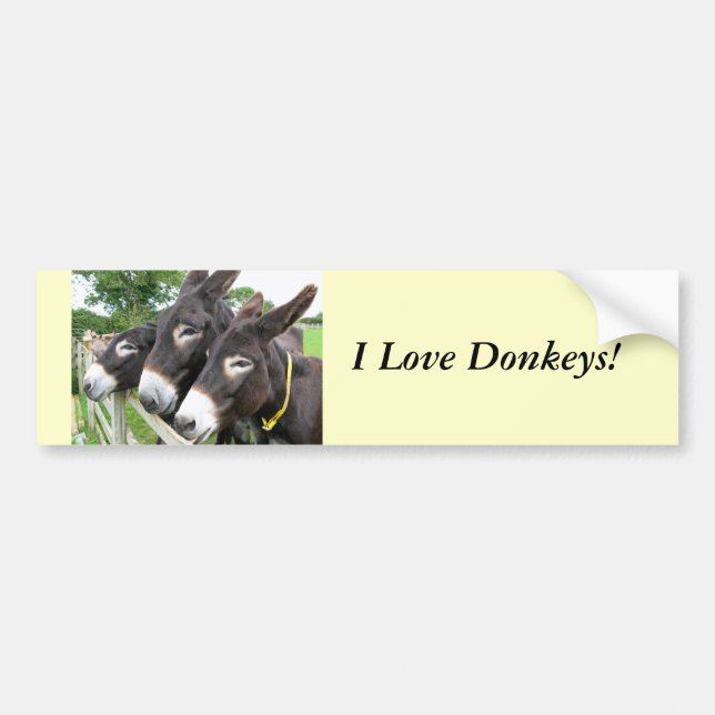 Ich Liebe Donkeys! Autoaufkleber (Vorne)
