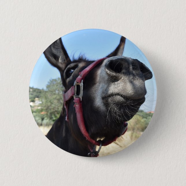 Ich Liebe Donkeys! Button (Vorderseite)