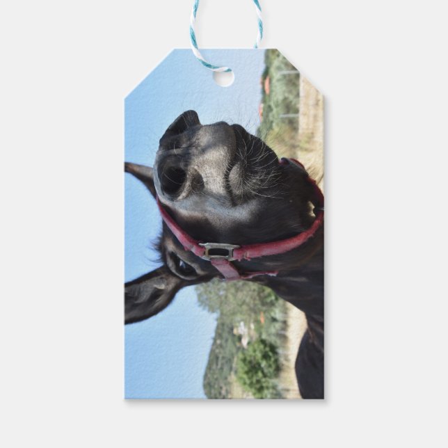 Ich Liebe Donkeys! Geschenkanhänger (Vorderseite)