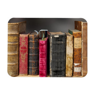 Ich liebe es, Antiquarische Vintage-Bücher zu lese Magnet