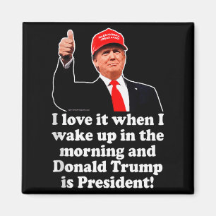 Ich liebe es, wenn Donald Trump Präsident ist 2024 Magnet