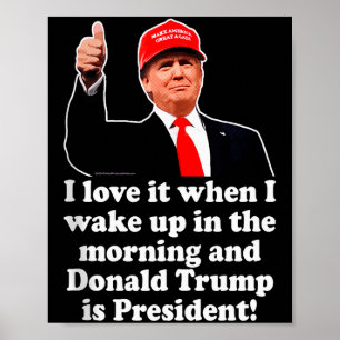 Ich liebe es, wenn Donald Trump Präsident ist 2024 Poster