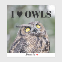 Ich liebe Eulen Aufkleber