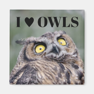Ich liebe Eulen Magnet
