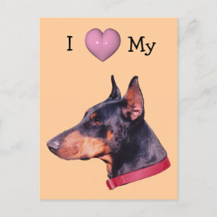 Ich Liebe Herz Mein Doberman Hund Postkarte